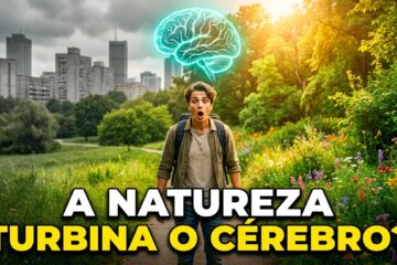 natureza e saúde mental